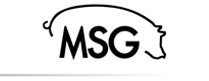 MSG